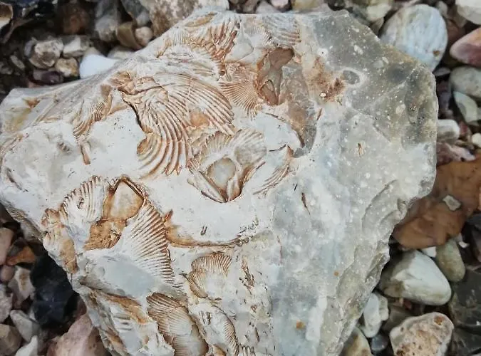 Biancofiore Alojamento de Acomodação e Pequeno-almoço 3*