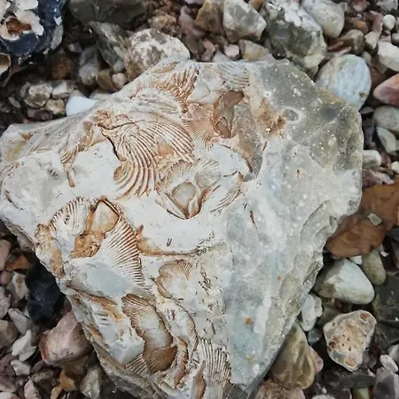 Biancofiore 住宿加早餐酒店 3*