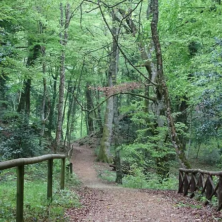 Bed & Breakfast Biancofiore San Giovanni Rotondo