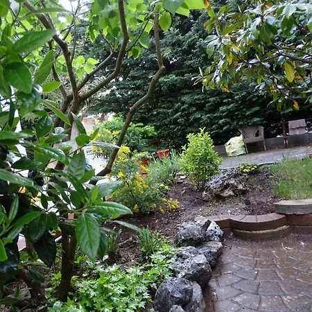 Bed & Breakfast Biancofiore 3*
